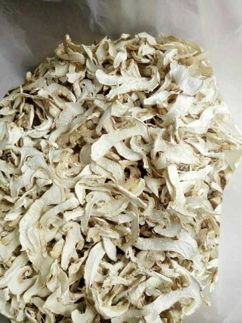 松茸干片