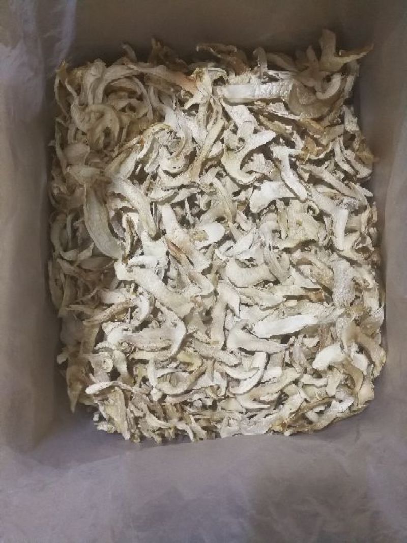 松茸干片