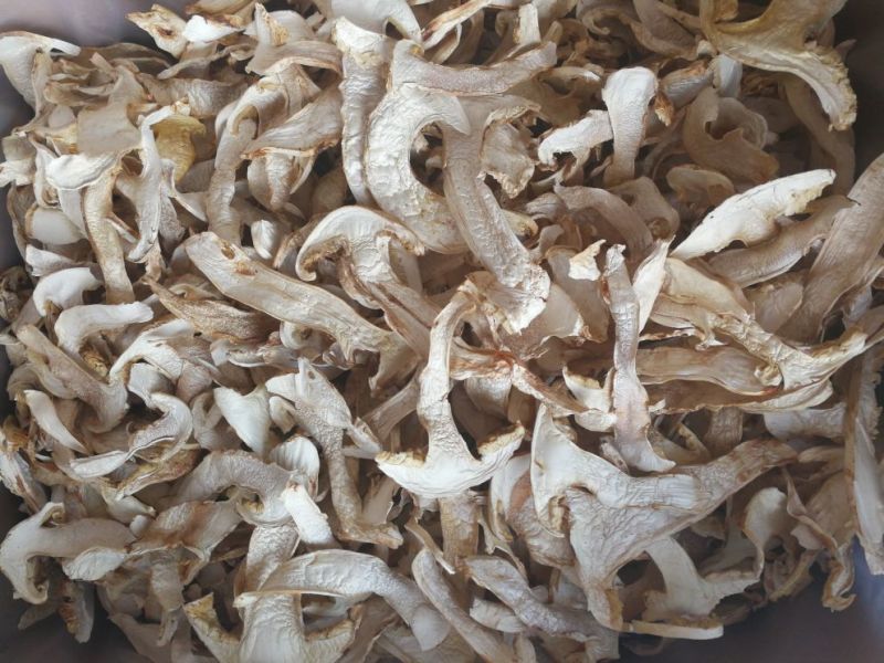 松茸干片