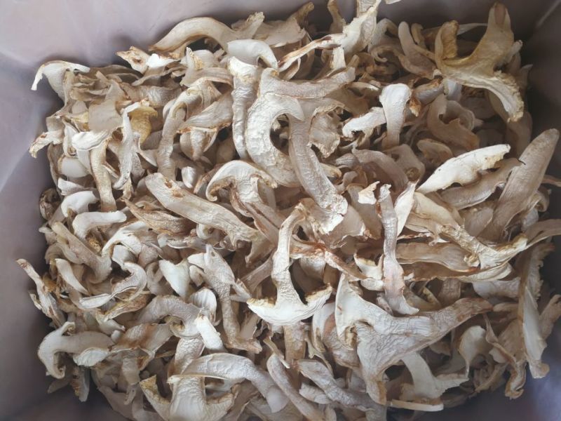 松茸干片