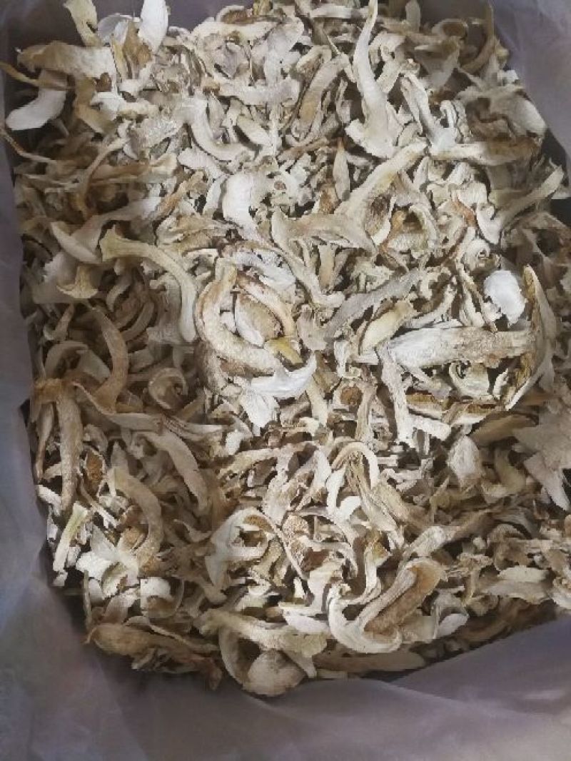 松茸干片