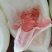 蜜柚
