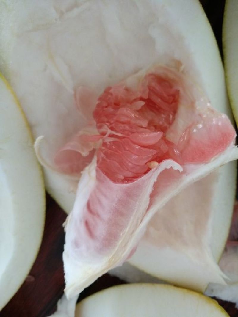 蜜柚