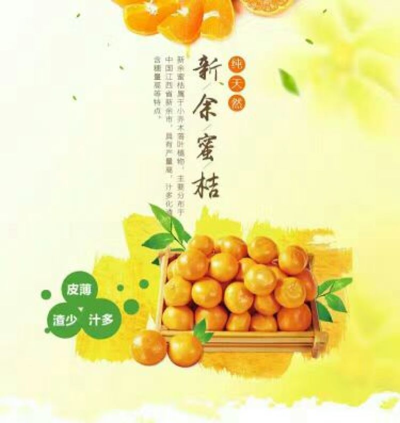 新余蜜桔：本人实力代办出口、国内客商！诚信为本！