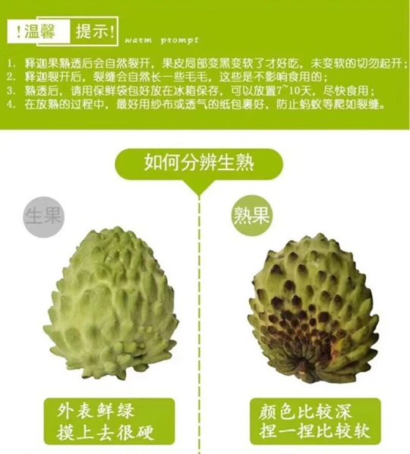 越南释迦