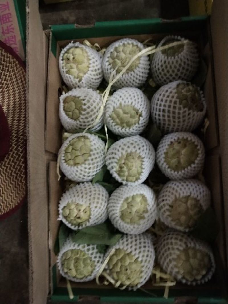 越南释迦