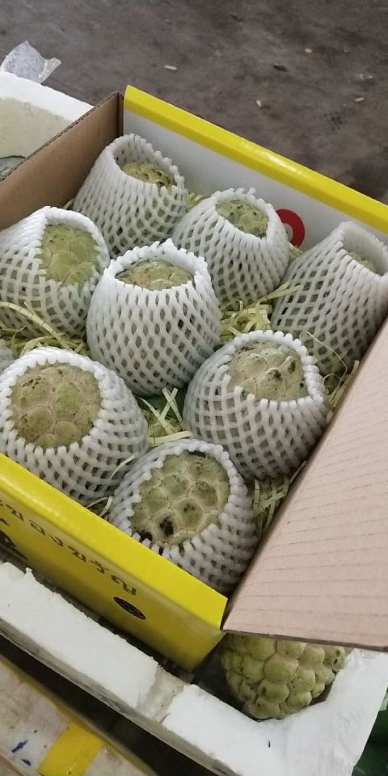 越南释迦