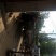 长豆角新乐市8月豆角大量上市需要的联系我欢迎你的到来