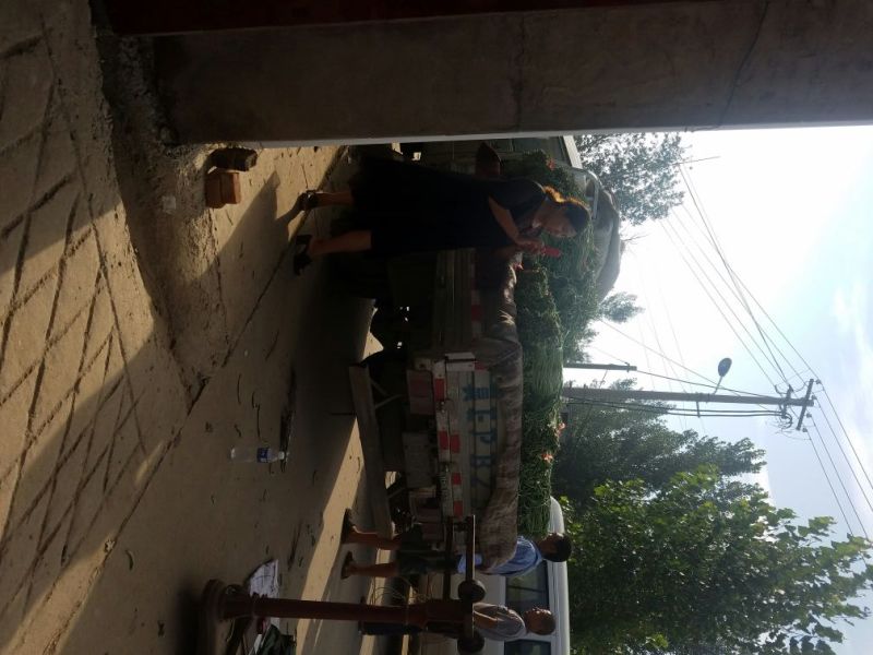 长豆角新乐市8月豆角大量上市需要的联系我欢迎你的到来