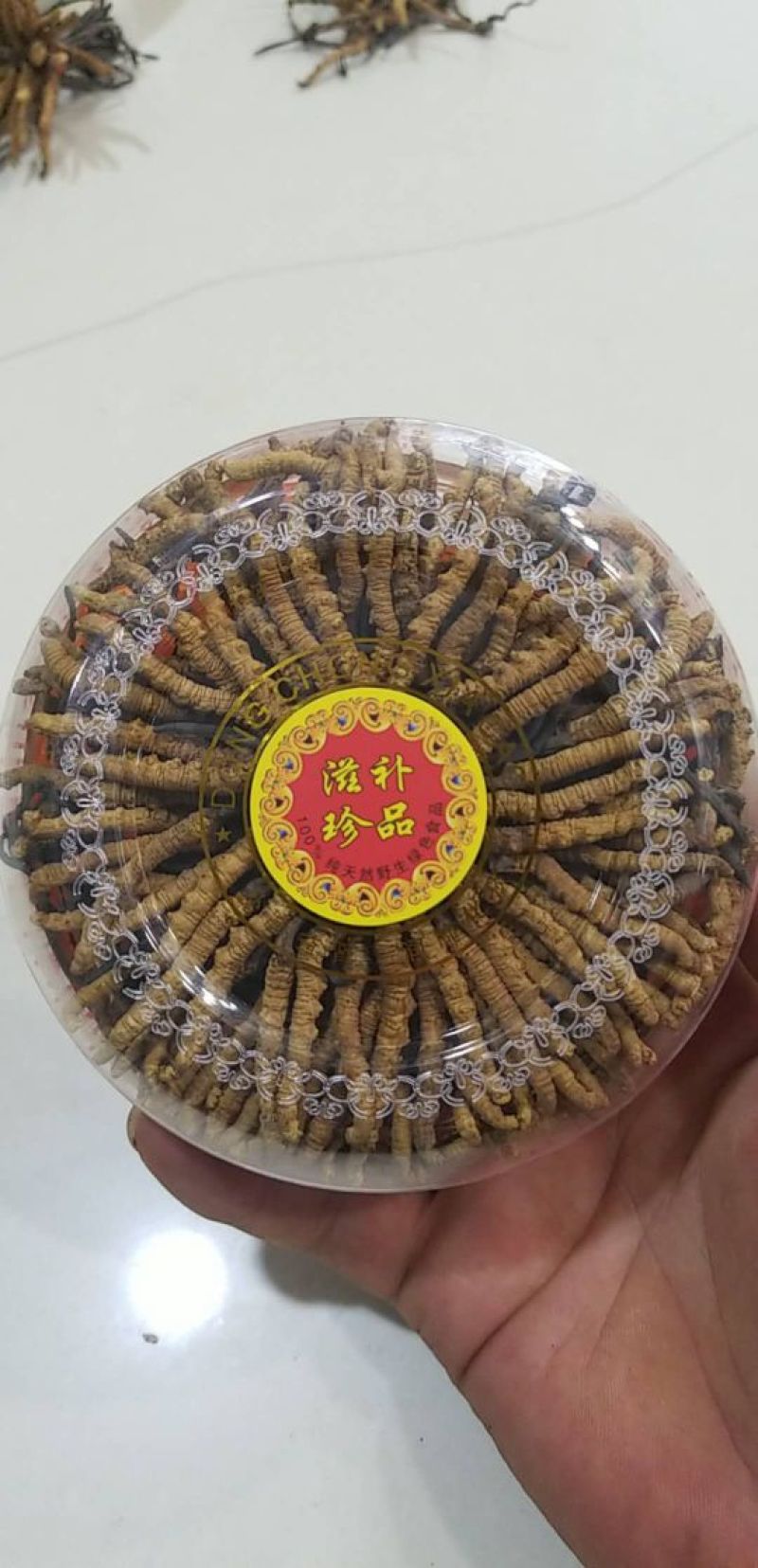 玉树冬虫夏草4根/克
