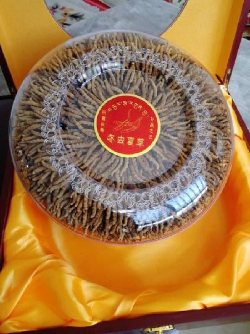 玉树冬虫夏草4根/克