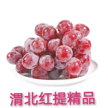 渭北—精品红提（一等品）
