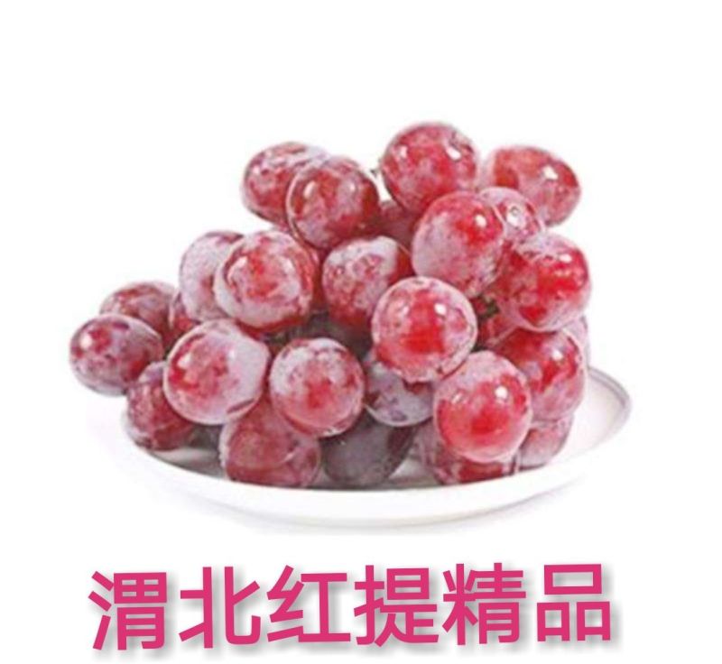 渭北—精品红提（一等品）