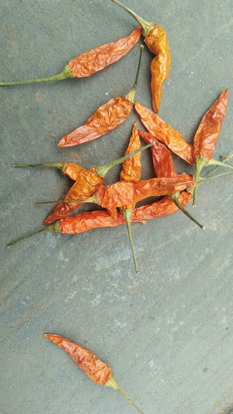 干泡椒精品