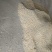 粘玉米干粒