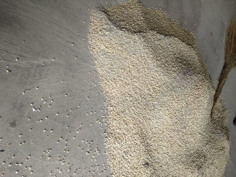粘玉米干粒