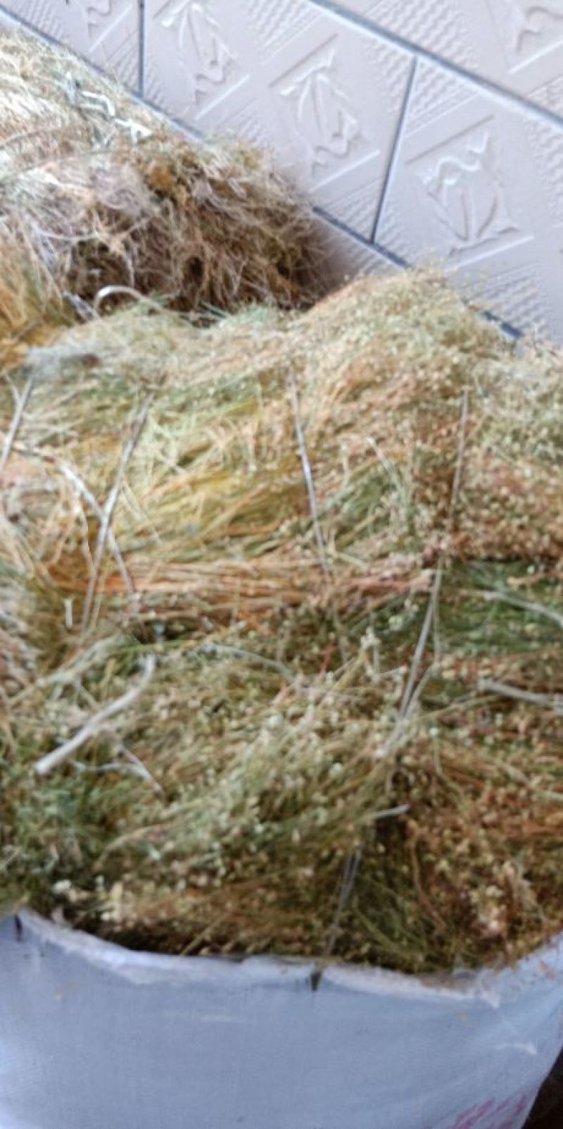 四叶莲一手货源产地直供应商