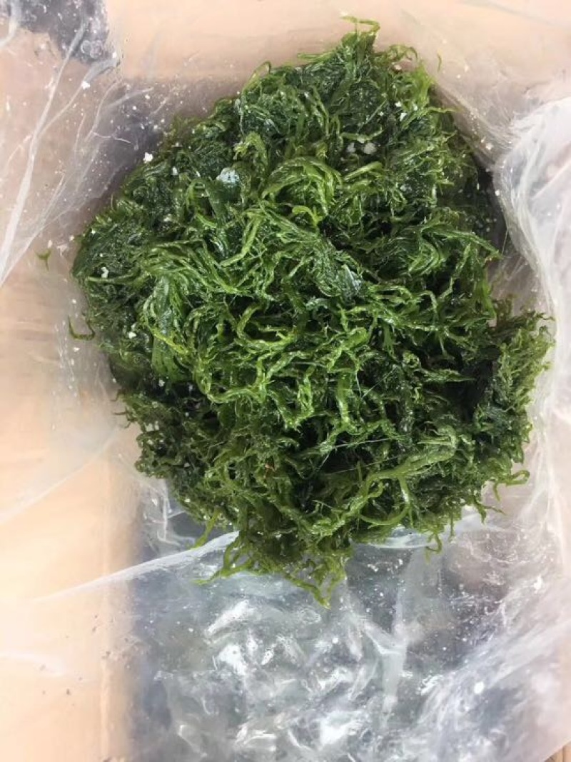 海草散装