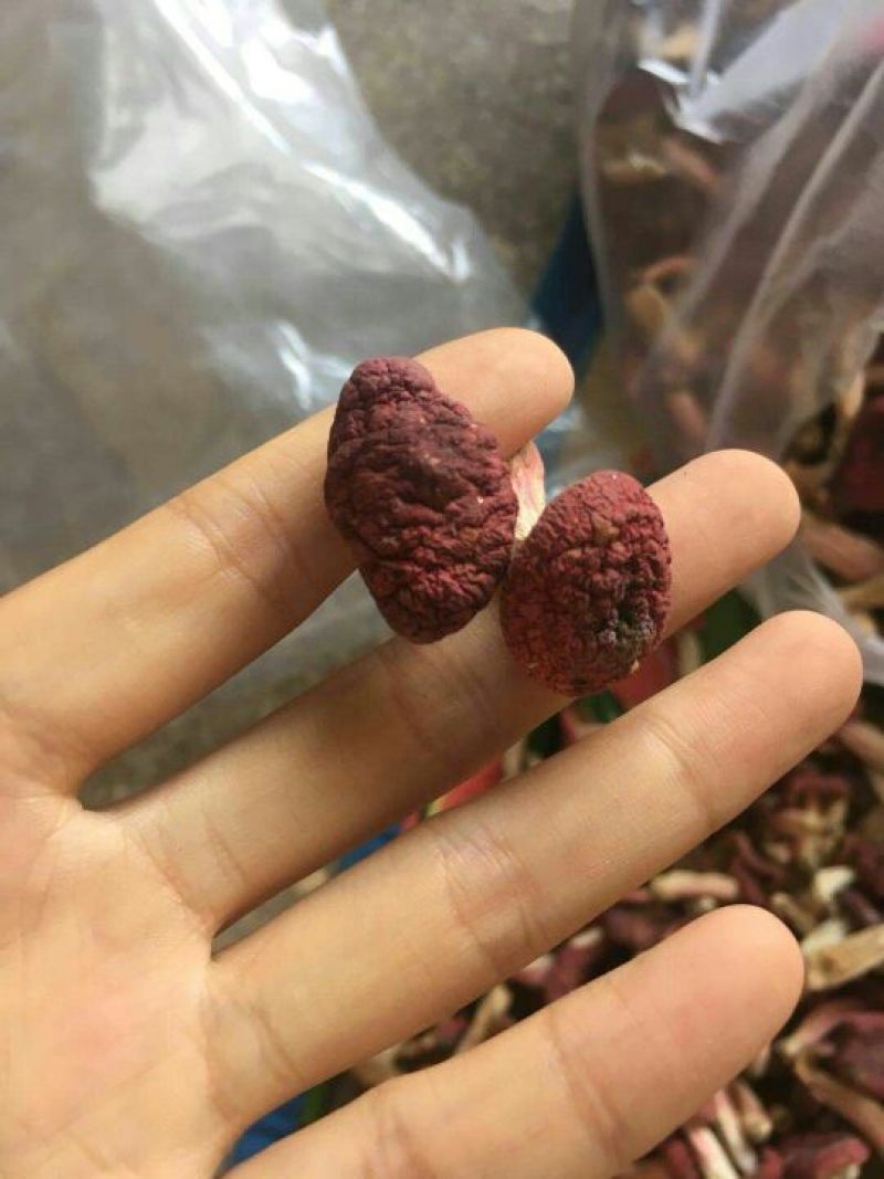 野生红菇日晒红菇