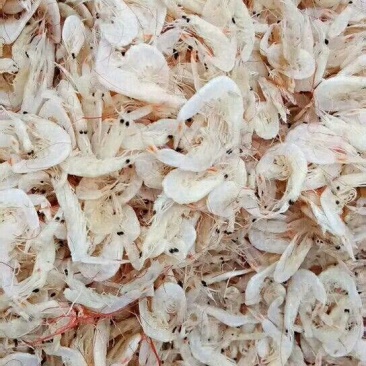 渤海湾特产，虾皮