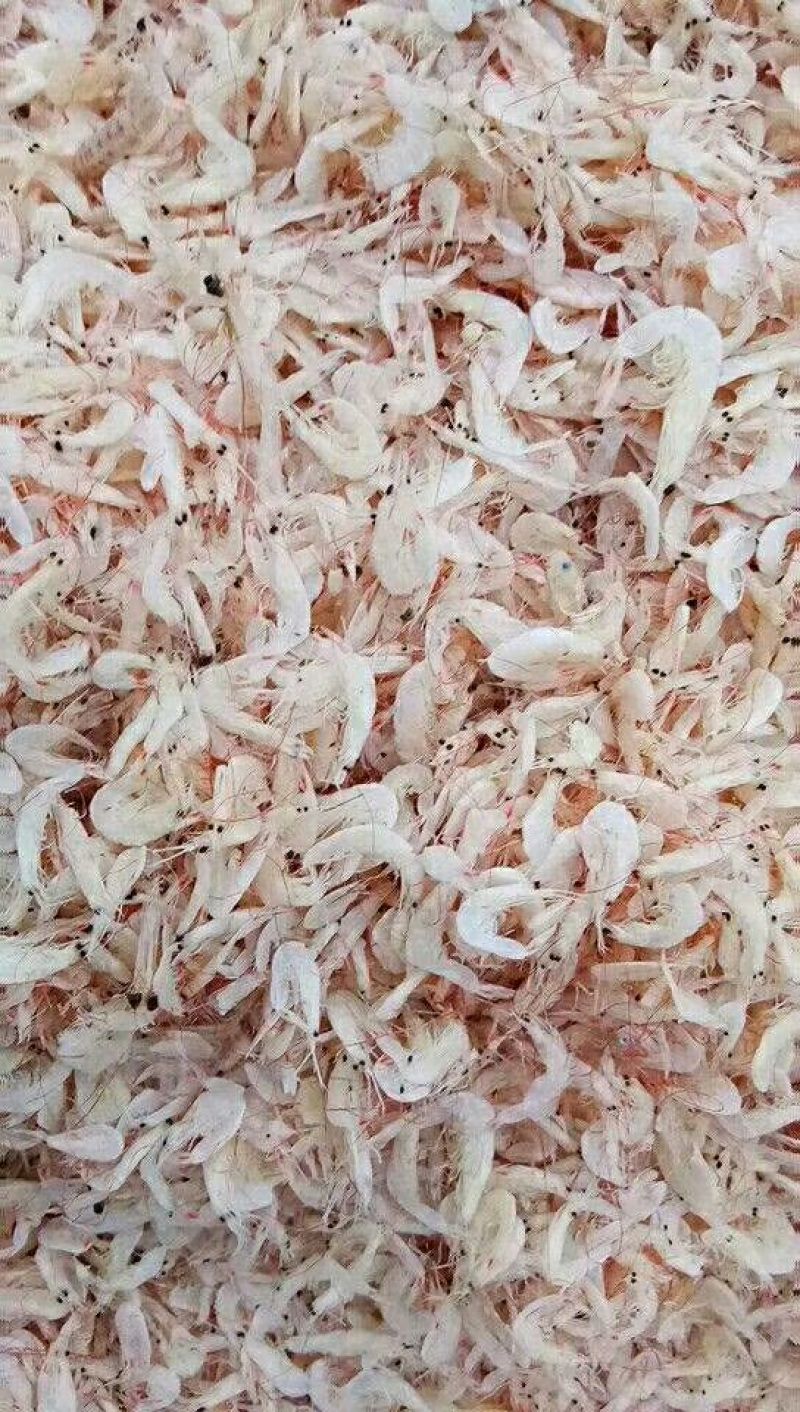 渤海湾特产，虾皮