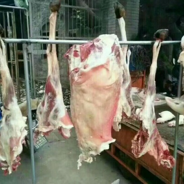 黑山羊羊肉