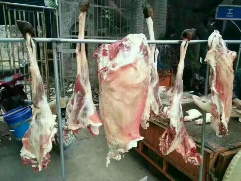黑山羊羊肉