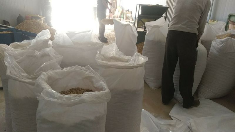 黄芪片陇西黄芪无硫农家自产保证无硫批发零售均可