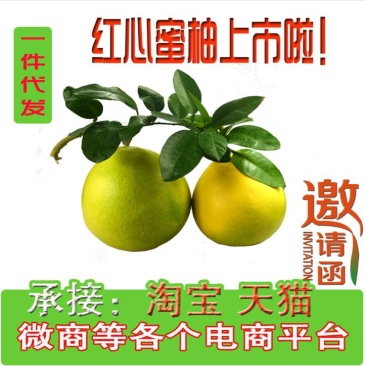 红心柚2斤以上