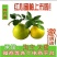 红心柚2斤以上