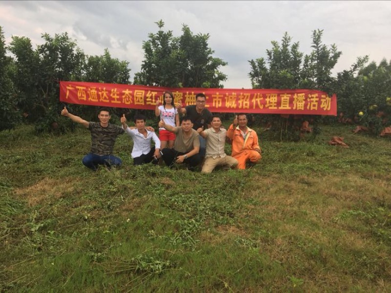 红心柚2斤以上