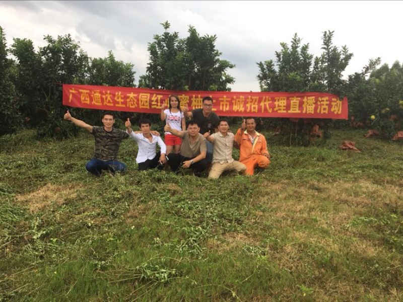 红心柚2斤以上