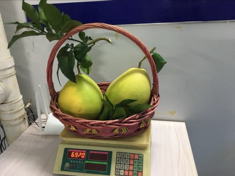 红心柚2斤以上