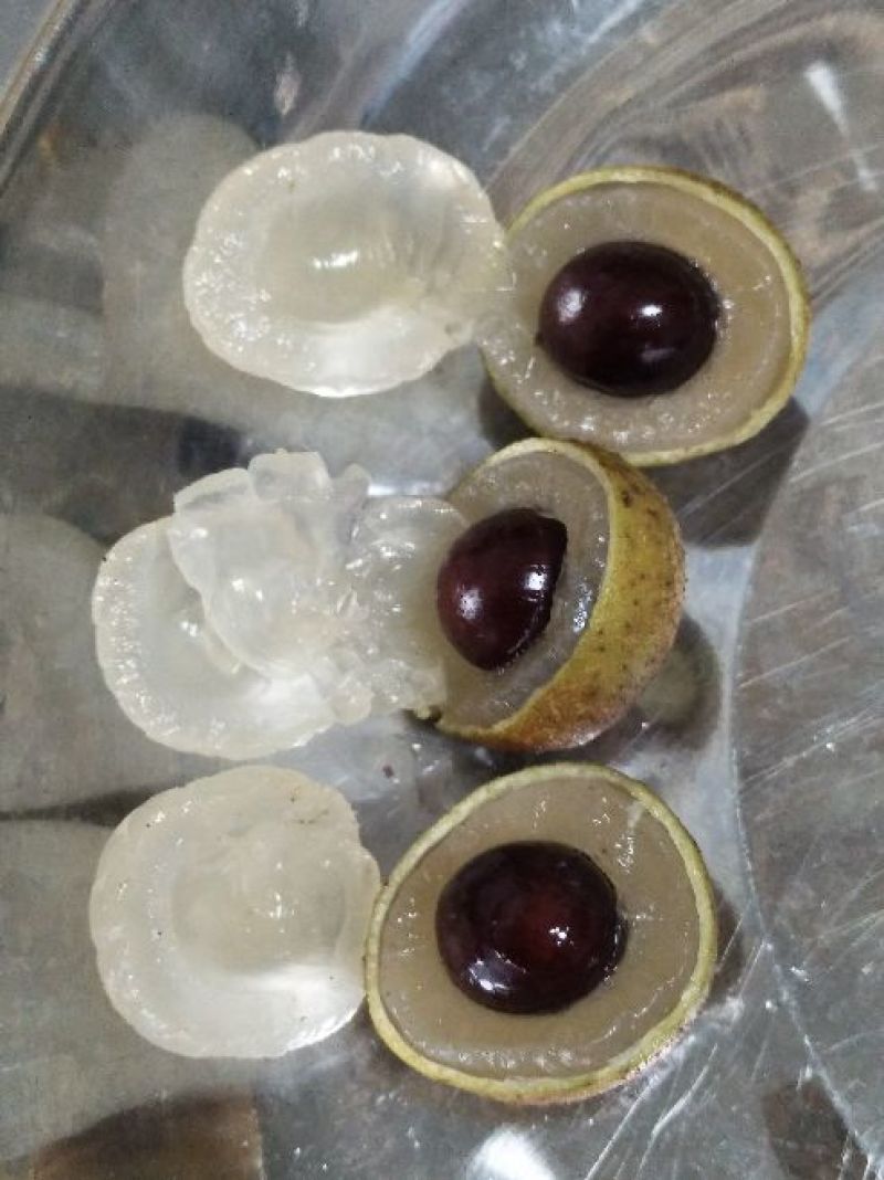 石硖龙眼