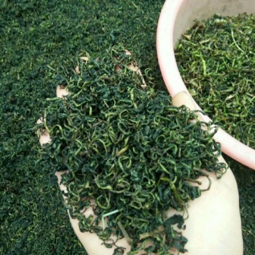 蒲公英茶，优质，条形细，颜色青。