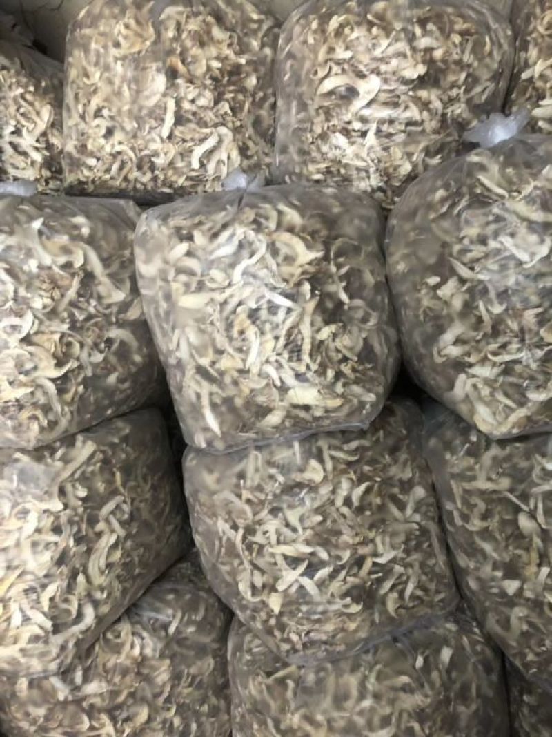 松茸干片