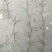 护坡型高羊茅草种货到付款，免费发票