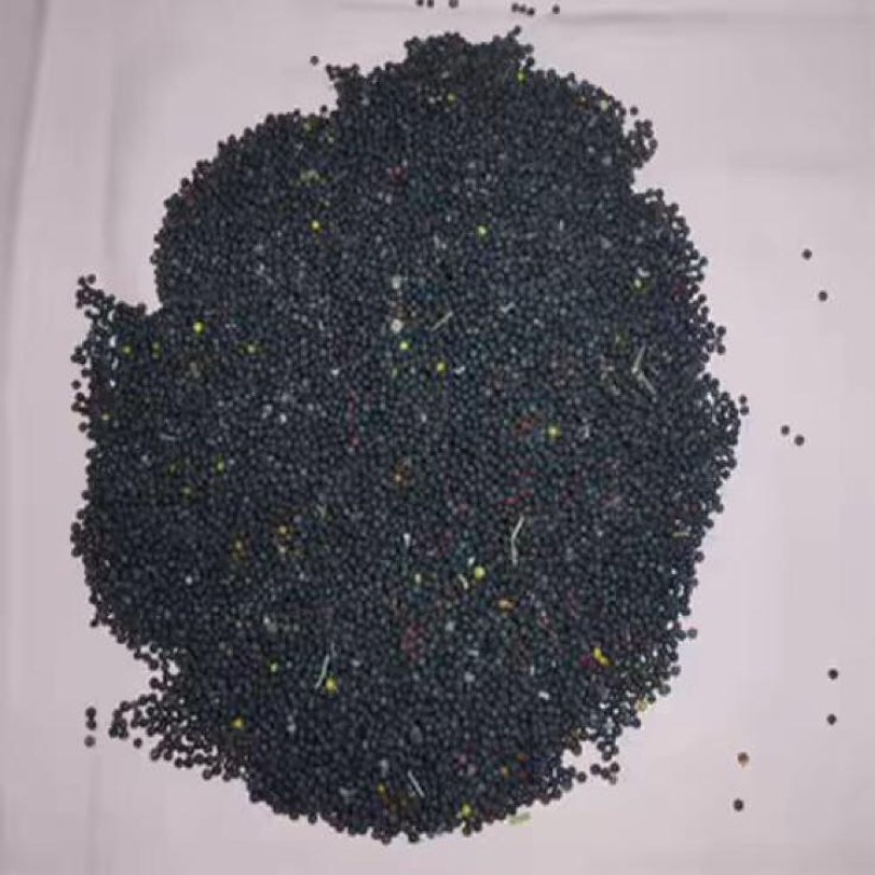 油菜籽1级