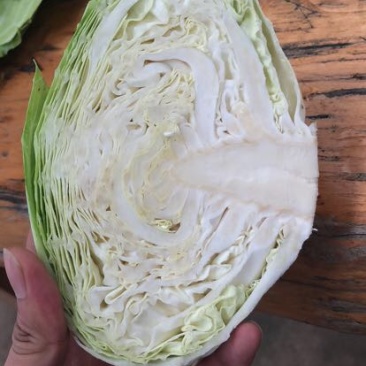 扁包菜1~2公斤精品