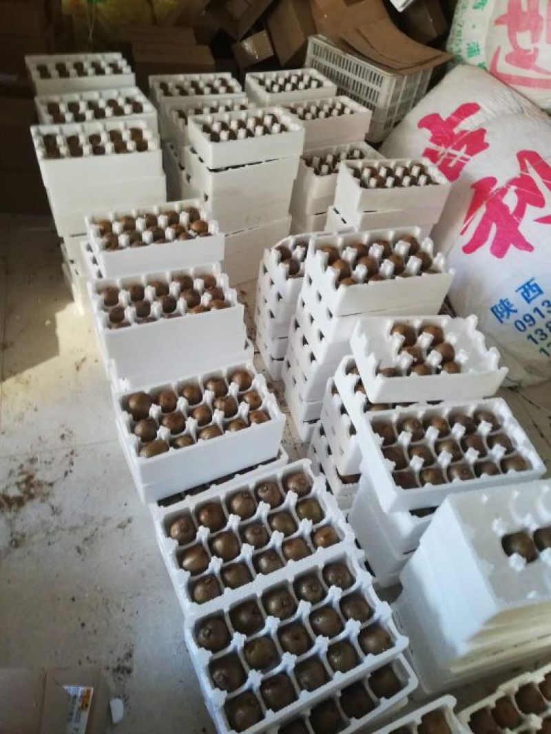 徐香猕猴桃大量上市中，口感香甜果子漂亮，优质货