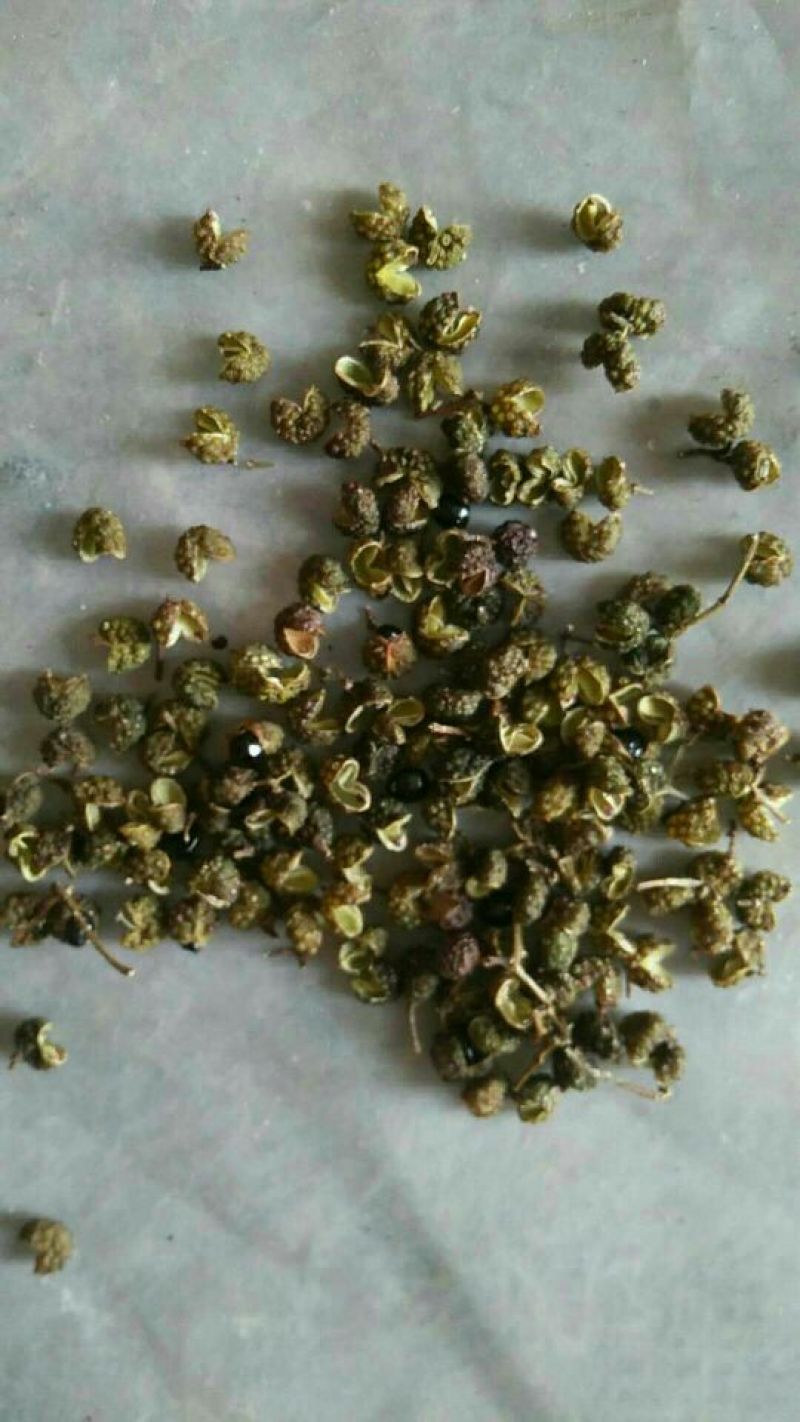 贵州花椒