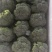 西兰花，出口内销都可以接单了