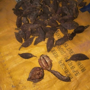 草果干货
