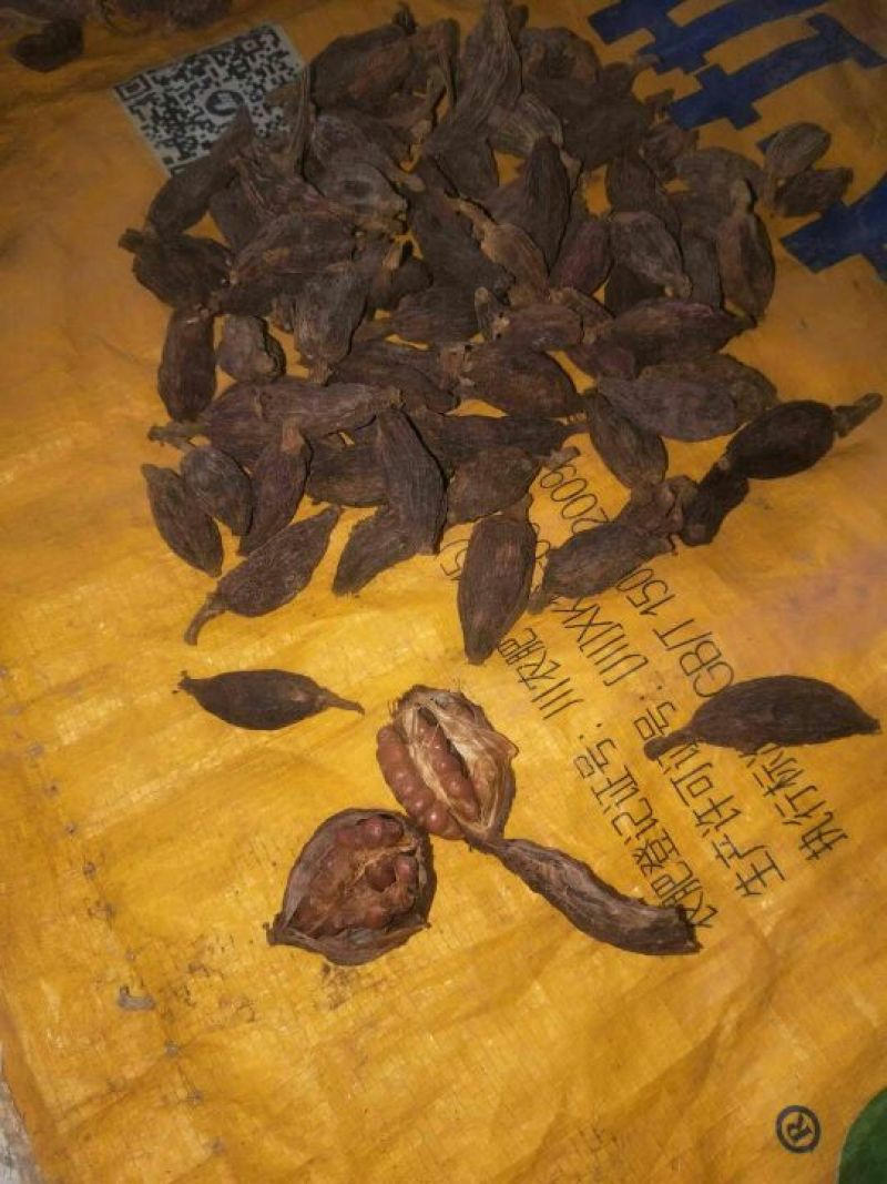 草果干货