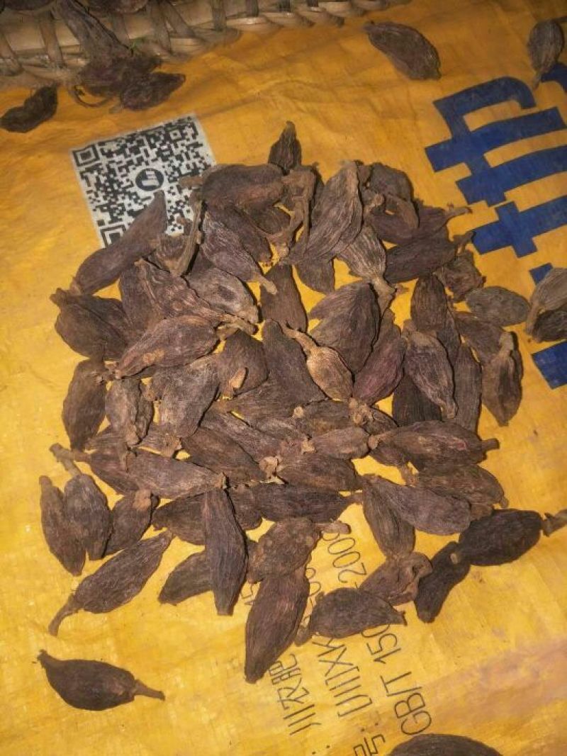 草果干货