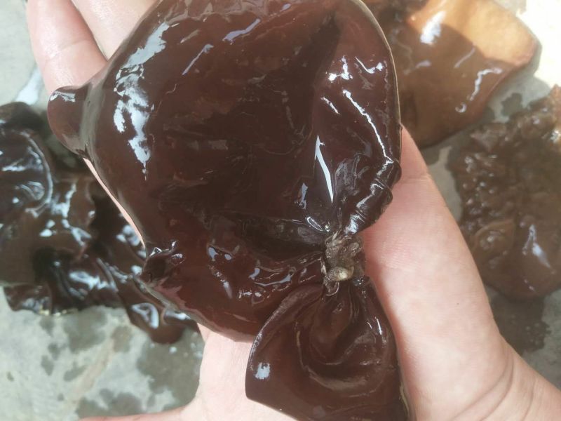 毛木耳大木耳黑木耳皮耳产地直发！价格便宜！