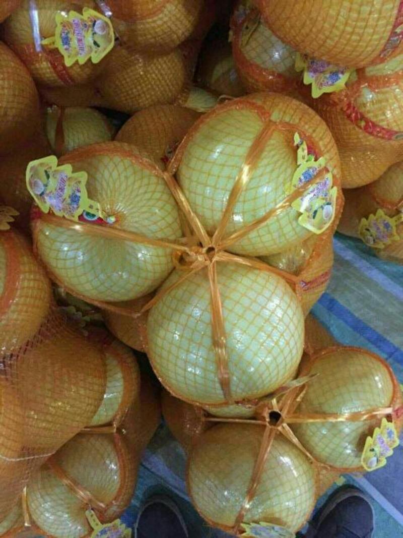 官溪蜜柚，果型好，果面干净个头大，按客户需求包装