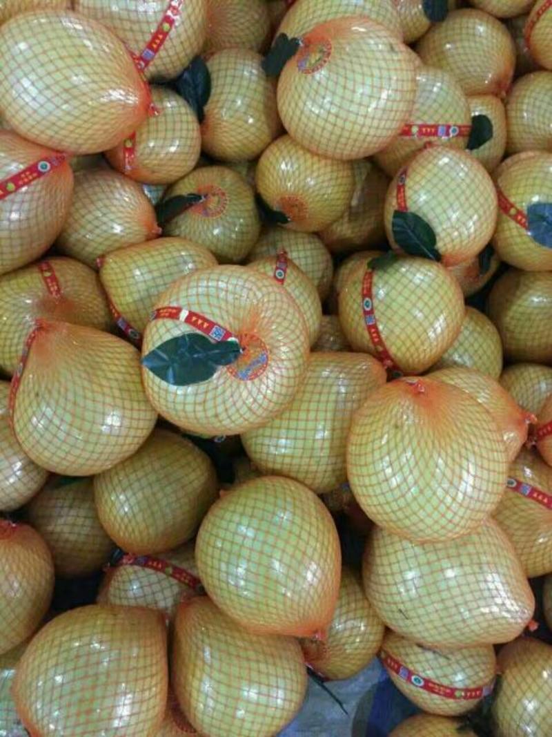 官溪蜜柚，果型好，果面干净个头大，按客户需求包装