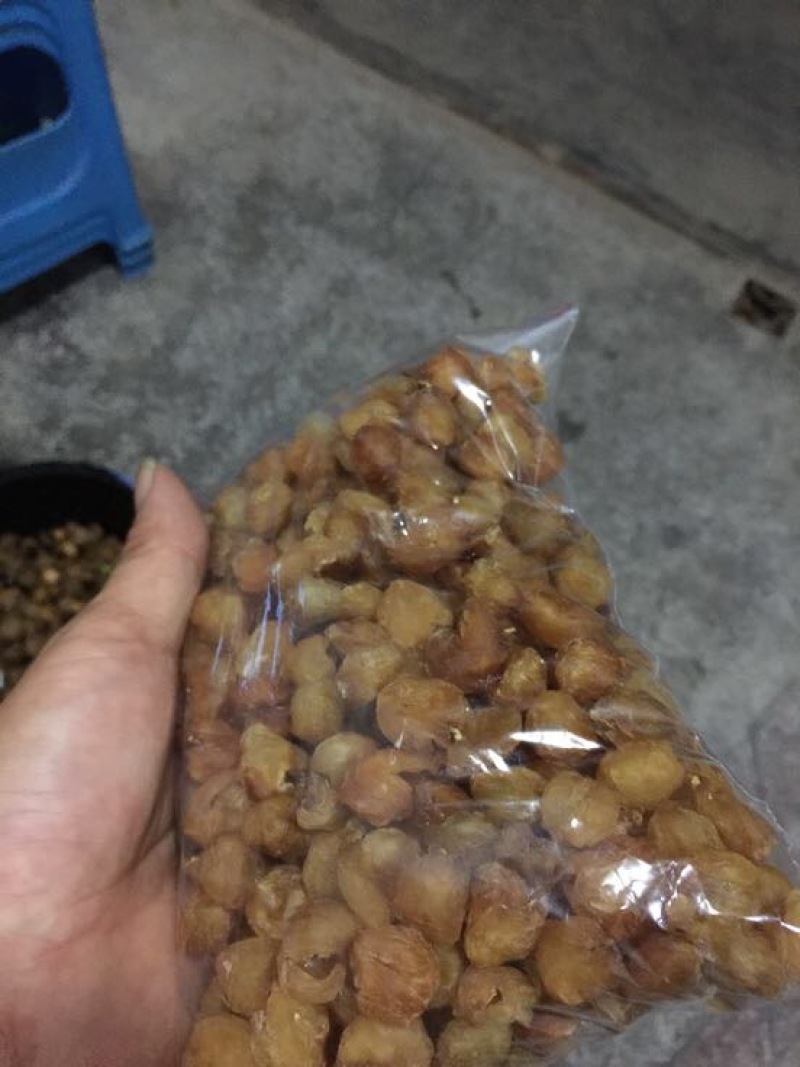 龙眼肉．元肉．广元肉，桂元肉，桂圆肉，桂园肉，圆肉，园肉