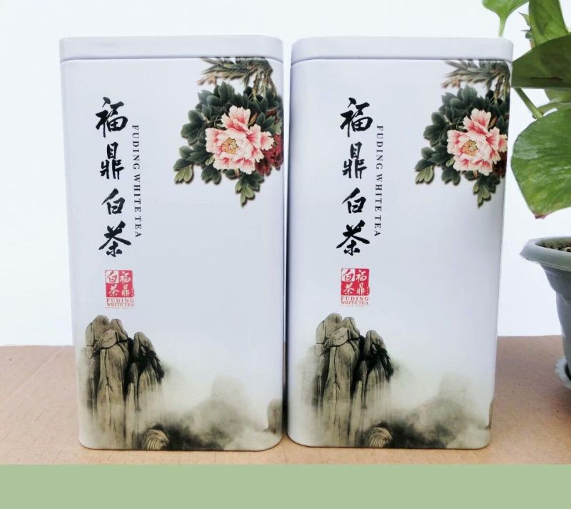 福鼎白茶米针2020年白毫银针500克，125克一铁盒